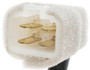 Standard Ignition Stoplight Switch SLS-406