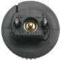 Standard Ignition Fuel Injector - TBI - New TJ48