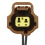 Standard Ignition Coolant Temp Sensor Connector S-1082