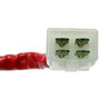 Standard Ignition Neutral Safety Switch NS-305