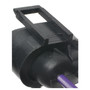 Standard Ignition Back-Up Lamp Connector S-743