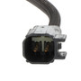 Standard Ignition Exhaust Gas Temperature Sensor ETS241 - connector view