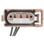 Standard Ignition License Plate Light Socket Connector S-894