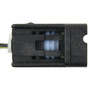 Standard Ignition Cornering Light Socket Connector S-895