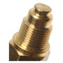 Standard Ignition Coolant Fan Switch TS-490