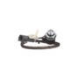 Standard Ignition Back-Up Light Switch LS417 - angled view