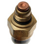 Standard Ignition Coolant Fan Switch TS-157