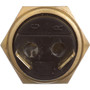 Standard Ignition Temperature Sender - With Light TS-51