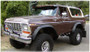 Bushwacker Cutout Style Flares 2pc in Black for 1978-1979 Ford Bronco