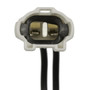 Standard Ignition Coolant Fan Switch TS-183