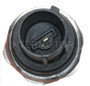Standard Ignition Knock Sensor KS66
