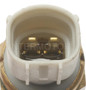 Standard Ignition Coolant Fan Switch TS-371