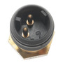 Standard Ignition Coolant Temperature Sensor TS-554