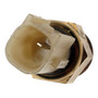 Standard Ignition Coolant Fan Switch TS-378