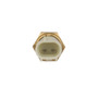 Standard Ignition Coolant Fan Switch TS-579