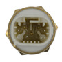Standard Ignition Coolant Fan Switch TS-581