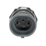 Rostra Powertrain Engine Oil Pressure Switch 50-1374