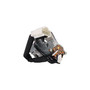 Rostra Powertrain Ignition Switch 63-0204