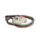 Rostra Powertrain Turn Signal Switch 71-0021