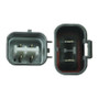 WAI Distributor DST17430 - front view