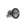 VEMO Coolant Thermostat V30-99-2274