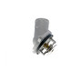 VEMO Coolant Thermostat V30-99-0110