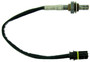 NTK Switching Oxygen Sensor 25569 - front view
