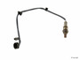 NTK Switching Oxygen Sensor 24437 - top view