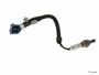 NTK Switching Oxygen Sensor 25178 - top view