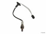 NTK Switching Oxygen Sensor 25202 - top view