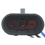 Motorad Mass Air Flow Sensor 1MF435 - connector view