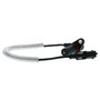 Motorad Engine Crankshaft Position Sensor 1KR191 - 1-Wire - right view