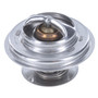Motorad Thermostat-170 Degrees 248-174