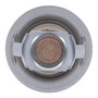 Motorad Thermostat-195 Degrees 474-195
