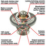 Motorad Fail-Safe Thermostat-170 Degrees w/ Seal 7441-170