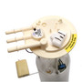 Delphi Fuel Pump Module Assembly FG0096 for 1997 Cadillac 4.6L (DeVille, Eldorado, Seville)