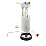Delphi Fuel Pump Module Assembly FG0260 for 2000-2004 Buick/Pontiac 3.8L (Regal, Grand Prix)