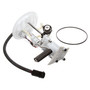 Delphi Fuel Pump Module Assembly FG0867 for 2002-2003 Ford/Mercury 4.6L 4.0L (Explorer, Mountaineer)