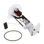 Delphi Fuel Pump Module Assembly FG0847 for 2004-2008 Ford/Lincoln 5.4L 4.6L (F-150, Mark LT)