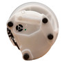 Delphi Fuel Pump Module Assembly FG0970 for 2001-2003 Ford (Windstar)