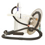 Delphi Fuel Pump Module Assembly FG1211 for 2008-2010 Ford 6.8L 5.4L