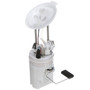 Delphi Fuel Pump Module Assembly FG1681 for 2011-2018 BMW 3.0L 2.0L (X3, X4)