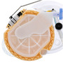 Delphi Fuel Pump Module Assembly FG2186 for 2015-2024 Land Rover 2.0L (Discovery Sport)