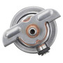 Delphi Fuel Injection Pressure Regulator FP10302 for 1985-1995 BMW/Hyundai/Volkswagen 2.5L 1.8L (318i, 325i, 325is, 325iX)