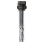 Delphi Ignition Coil GN10445 for 2002-2009 Audi/Volkswagen 6.0L 4.0L (A8 Quattro, Passat, Phaeton)