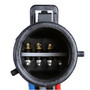 Delphi Fuel Pump Hanger Assembly HP10097 for 1997 Ford/Lincoln/Mercury 4.6L (Crown Victoria, Town Car, Grand Marquis)