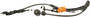 Delphi ABS Wheel Speed Sensor SS20989 for 1994-1999 Acura/Honda (CL, Accord, Odyssey)