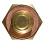 Delphi Engine Coolant Temperature Sensor TS10250 for 1985-2001 Alfa Romeo/BMW/Honda 3.0L 3.6L (164, M5, Passport, Accent)