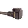 Spectra Premium Ignition Coil C-532 for 2000 INFINITI/Nissan 3.0L (I30, Maxima)