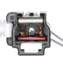 Standard Ignition Clock Spring CSP309 for 2004-2007 Ford (E-150, E-150 Club Wagon, E-250, E-350 Club Wagon)